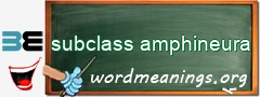 WordMeaning blackboard for subclass amphineura